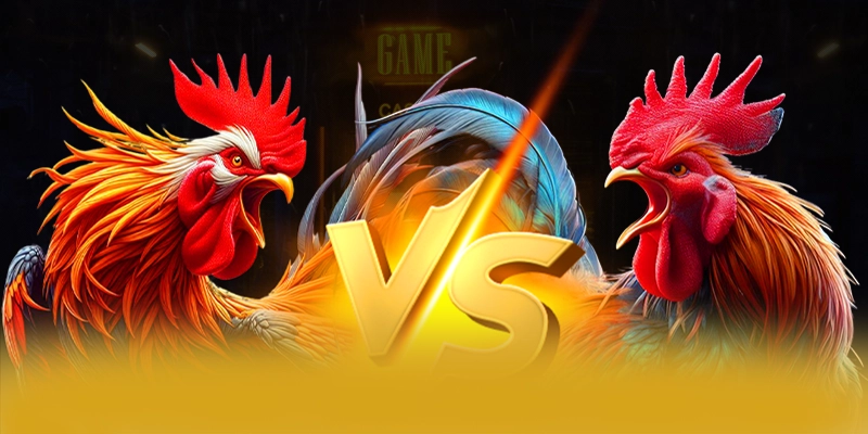 Phương thức nạp rút tiền nhanh chóng và an toàn tại 8XBET